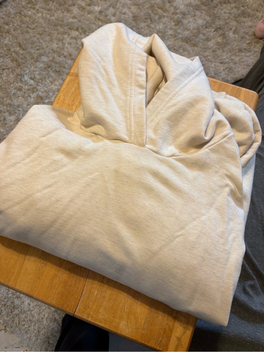 Aerie jet setter hoodie